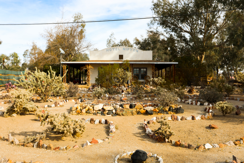 Hotel Nipton and its cactus garden.